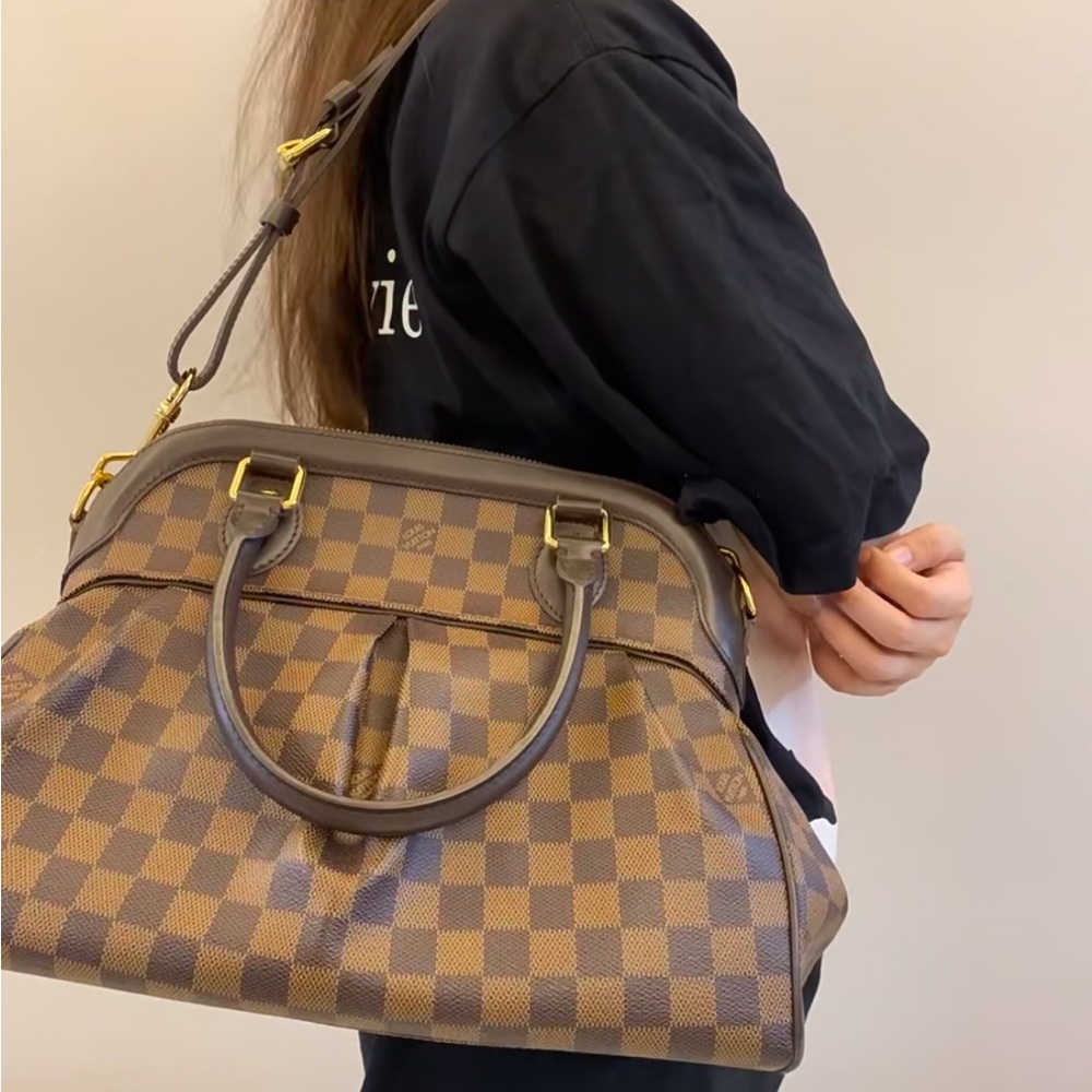 Louis Vuitton Damier Ebene Trevi PM Shoulder Bag